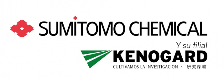 Captura de pantalla 2025-12-03 161445