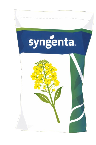 Saco de colza Syngenta