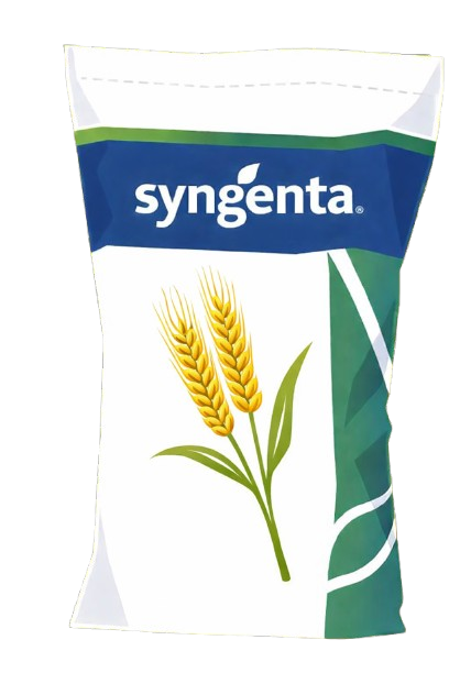 Saco de cebada Syngenta