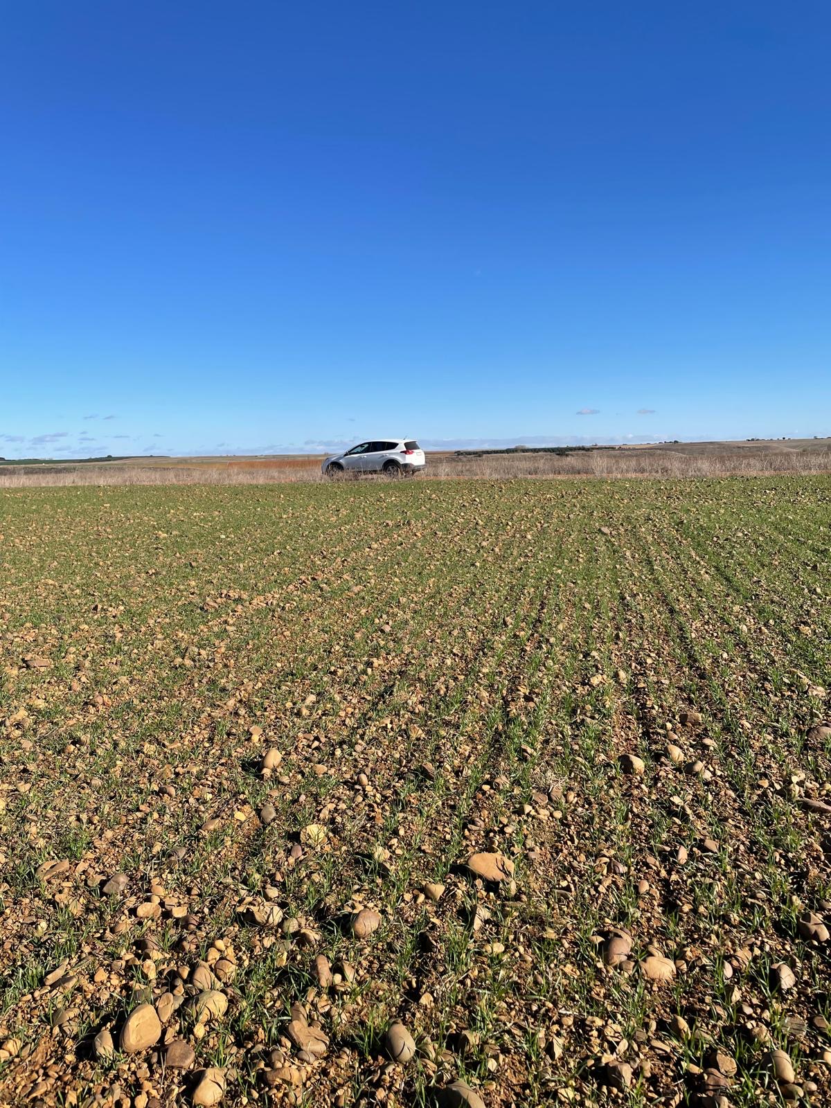 ASESORAMIENTO TÉCNICO BRC PROTECCIÓN DE CULTIVOS